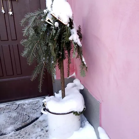 štempel Karol , Bělá Pod Pradědem, Domašov 412 Prázdninový dům Jeseník
